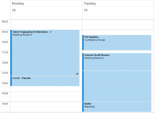 Calendar image from Microsoft Outlook 
